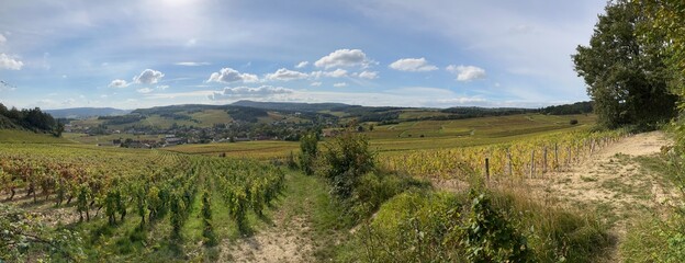 panorama of the hills of Mercurey in Burgundy 