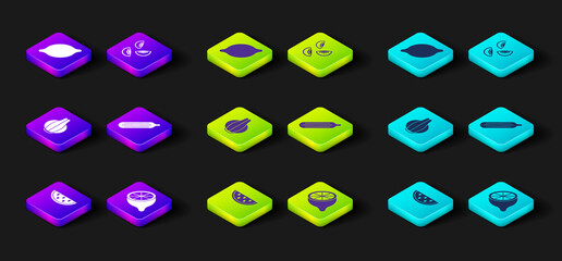 Set Watermelon, Lemon, Onion, Fresh cucumber, Tomato and icon. Vector