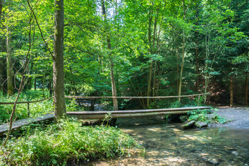 Bridge made of wood over small river in the forest