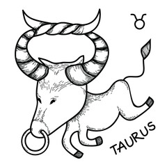 Funny Zodiac Taurus Sign. Bull horoscope symbol. Line art sketch vector illustration