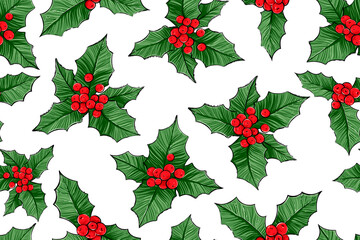 Seamless pattern of holly, color vector illustration