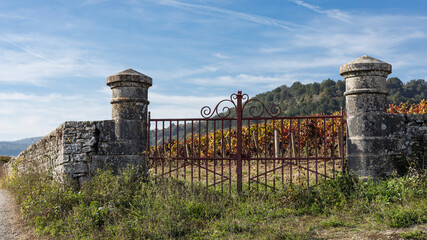 Stone posts and metal gate into a vineyard