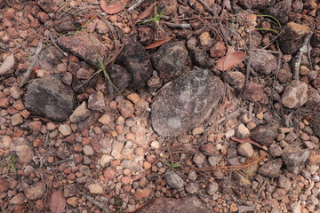 Soil texture, rocks, with natural light from the forest, where it was taken in Nicaragua.