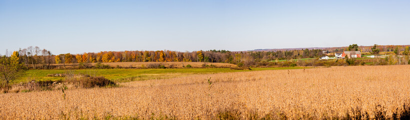 Wisconsin farmland with a colorful forest in October