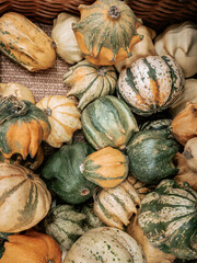 Fototapeta na wymiar Pumpkins on market counter. Top view photo. Many cute colorful green and yellow pumpkins 