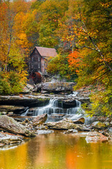 autumn in the woods