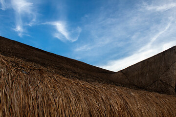 Naklejka premium Tropical palm roof top