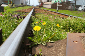 富山地方鉄道線路