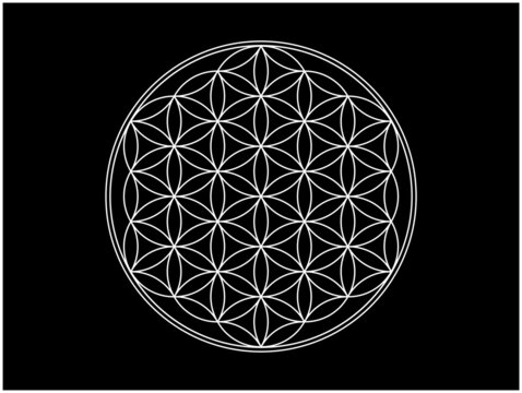 フラワーオブライフ の画像 12 件の Stock 写真 ベクターおよびビデオ Adobe Stock