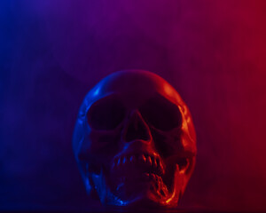 Human skull in pink and blue smoke on a black background. Halloween.