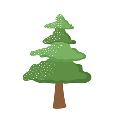pine tree forest