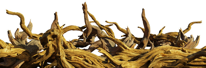 Fototapeta premium driftwood, aged branches isolated on white background