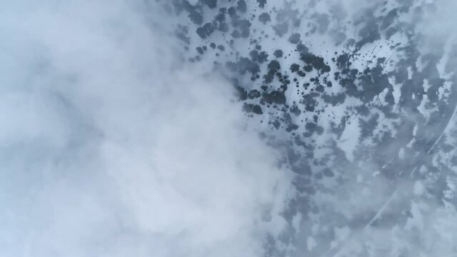 Aerial view of snow forest mountain landscape in North America. Drone flying together with white cloud above winter wonderland. Soaring parallel with white cloud, cold winter day. Winter background 4K