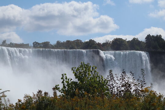 American Falls with Foliage in Foreground