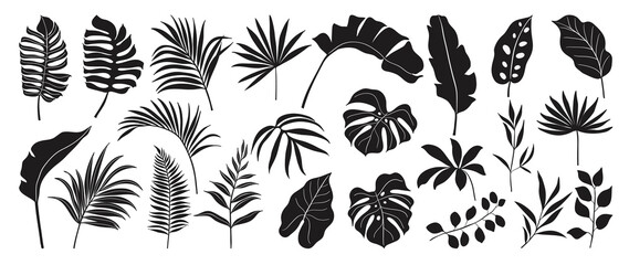 Tropical leaves vector. Set of palm leaves silhouettes isolated on white background. Vector EPS10