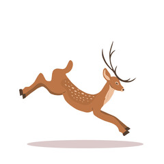 Fototapeta na wymiar Young noble sika deer. Reindeer with antlers in jump. Ruminant mammal animal. Vector illustration in flat cartoon style.