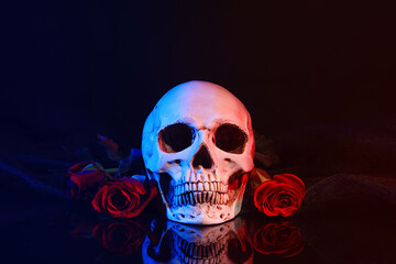 Beautiful red rose and human scull on dark background