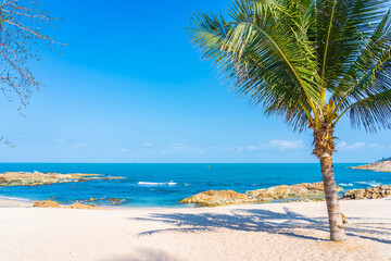 Naklejka na ściany i meble Beautiful tropical beach sea ocean with coconut palm tree