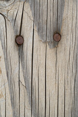 rusty nails in old weathered wood