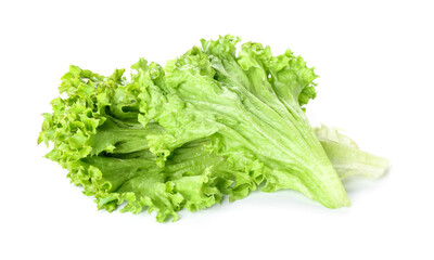 Lettuce leaves isolated on white background