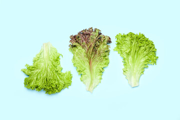 Leaves of fresh lettuce on blue background