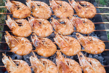 Shrimps on wooden skewers are cooked on charcoal for a picnic.