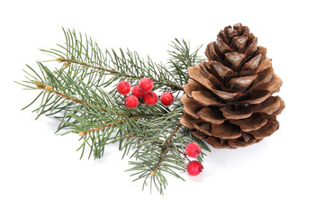 Christmas fir branches and pine cone on white background