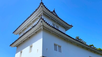 Fototapeta na wymiar 春の近江・桜の季節の「彦根城」佐和口多聞櫓