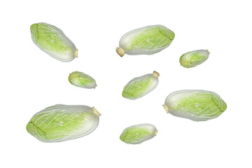 Chinese cabbage fresh isolated on a white background