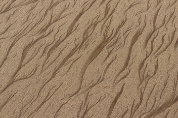 Fototapeta na wymiar Tide lines on the sand on the beach