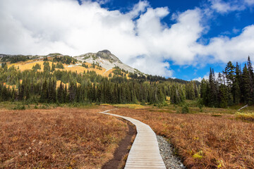 Hiking trail outdoors in Canadian nature. Sunny Fall Season. Taken in Garibaldi Provincial Park, located between Whistler and Squamish, near Vancouver, BC, Canada. adventure path © edb3_16