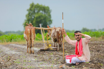 Indian farmer working with bull at agriculture field and looking on sky waiting for the rain.