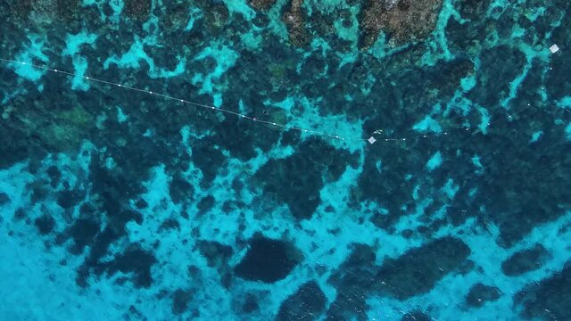 Shark nets set up along a stretch of tropical reef to provide safety to swimmers. High drone view.
