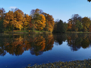 Autumn in the park. Trees with bright, colorful leaves grow around the pond and are reflected in its blue water. Inverted photo..