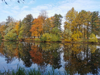 Autumn in the park. Trees with yellowing leaves grow around the pond and are reflected in its water.
