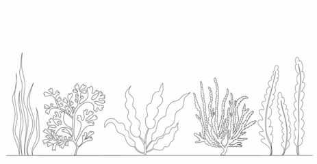 seaweed sketch drawing one continuous line vector © zolotons