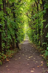 love tunne in the park of Övedskloster Manor