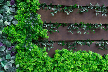 background from plants and boards. decorative wooden fence decorated with plant branches. background