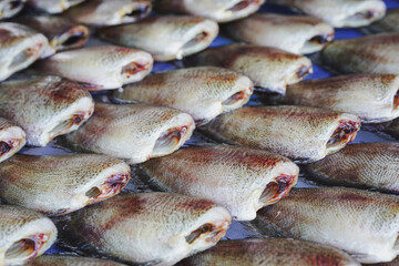 Dried snakeskin gourami placed on a table for sale. It is a popular food preservation in Thailand.