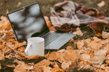 Cup of coffee and laptop in the fall garden. Remote working in autumn. Work life balance concept....