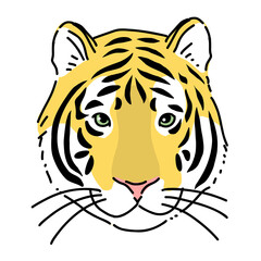 虎の顔　リアルイラスト　正面