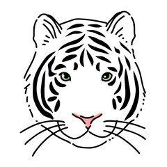 ホワイトタイガーの顔　白い虎