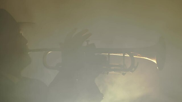 Jazzman in hat plays trumpet in smoky room, side view. Musician performs on stage at jazz club stage.