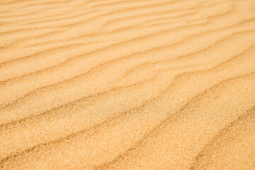 Fototapeta na wymiar Sandy texture on the beach, black sea coast. Top view of abstract beach sand dunes for summer banner background.