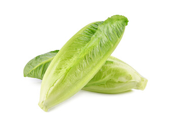 Fresh green cos lettuce isolated on white background.