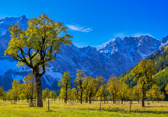 Großer Ahornboden, Karwendelgebirge, Tirol, Österreich, Europa