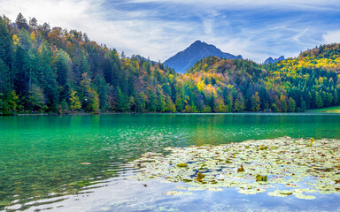 Alatsee bei Füssen, Allgäu, Bayern, Deutschland