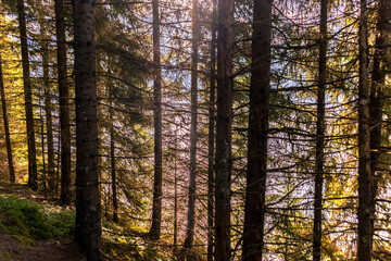 Speicher - Durlaßboden
Zillertal -Gerlos