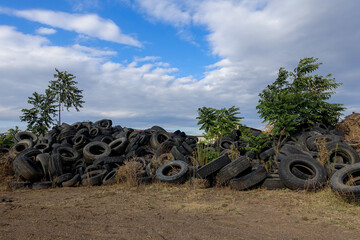 tires in the field