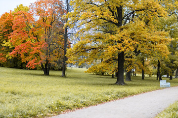 Naklejka premium View of Russian park in the autumn evening